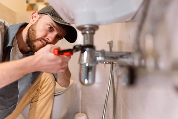 Best Plumbing Repair Near Me  in Raymond, IL