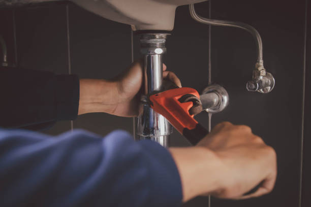 Best Plumbing Inspection Services  in Raymond, IL